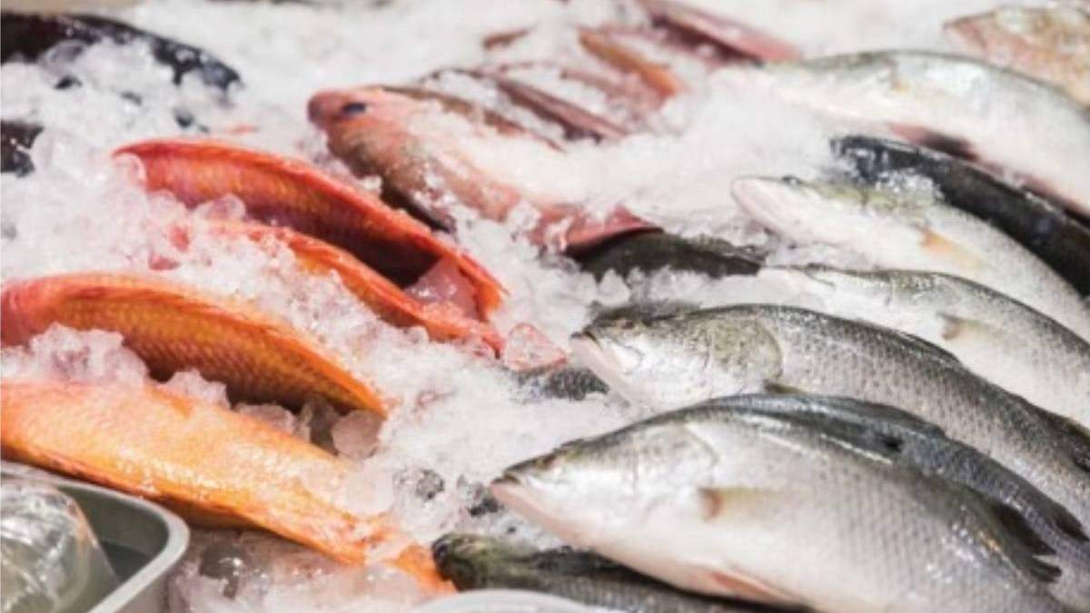 Venta de pescados