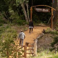 "Cuentos del Bosque", el paseo turístico que narra el pasado y presente del pueblo mapuche