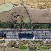 Tren de pasajeros en la India mata a siete elefantes que intentaban cruzar las vías