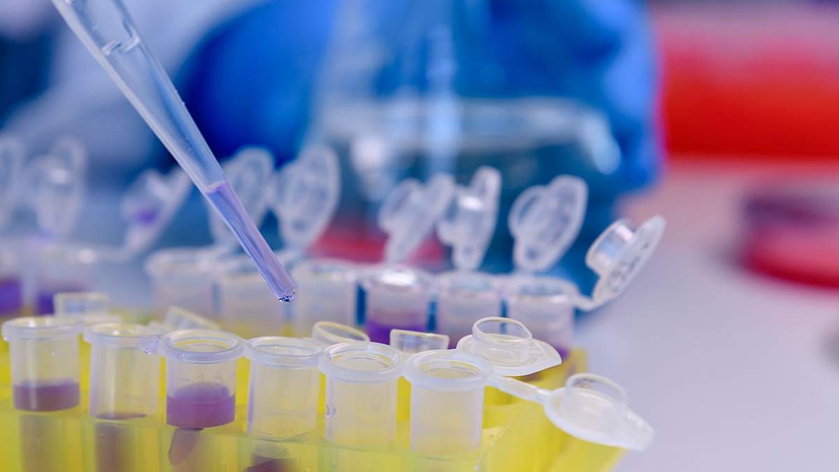 Análisis de muestras de coronavirus en Cipolletti. Fuente: (Twitter)