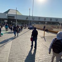 Se adelantan las vacaciones escolares de Semana Santa: comienzan a partir de la siguiente fecha
