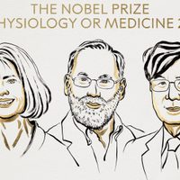 Dieron a conocer a los ganadores del Premio Nobel de Medicina