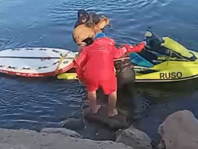 Operativo de rescate en el Limay: nueve personas y dos perros fueron evacuados de una isla