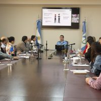 Neuquén está a un paso de aprobar el uso de armas "menos letales" para la policía