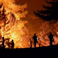 La cifra de la destrucción: los incendios forestales en España consumieron miles de hectáreas