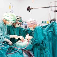 Neuquén: un hospital local realizó un innovador trasplante