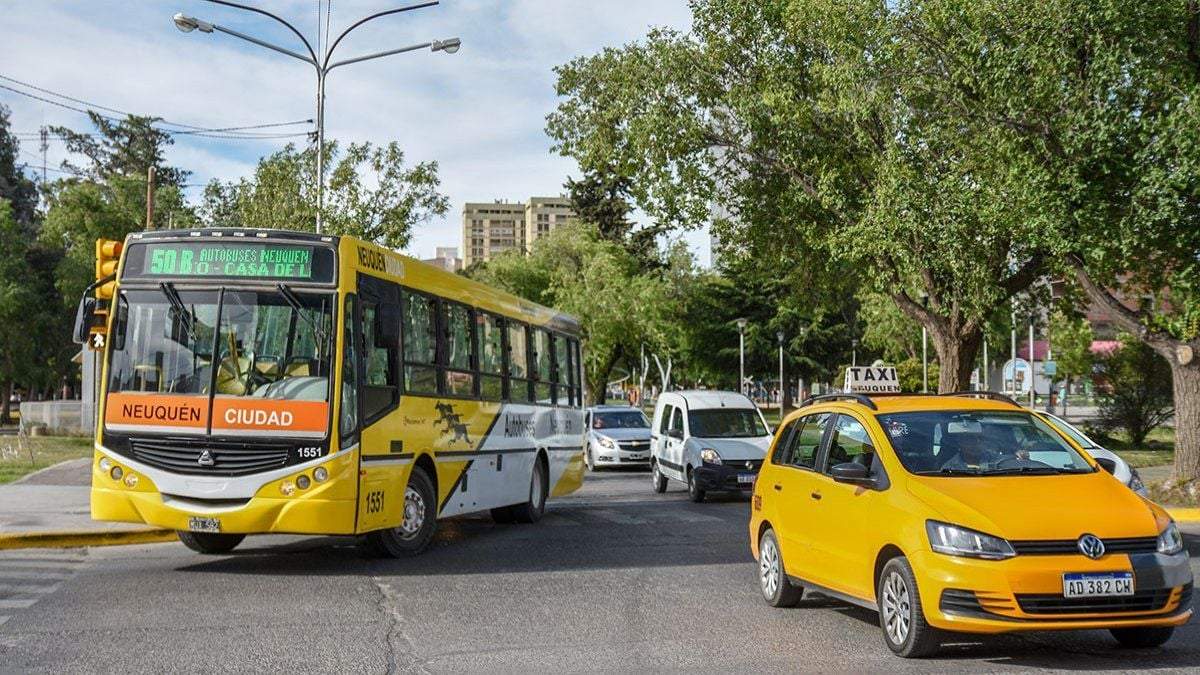 Autobuses Neuquén. Fuente: (Twitter)