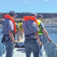 Organismo internacional ratificó al embalse de Piedra del Águila libre de enfermedades en salmónidos