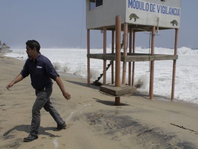 Hay nueva alerta por Mar de Fondo que podría afectar a Guerrero, Chiapas y Nayarit