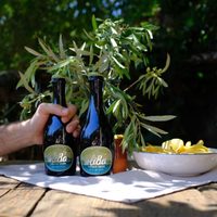Cerveza de aceitunas, aromática y original