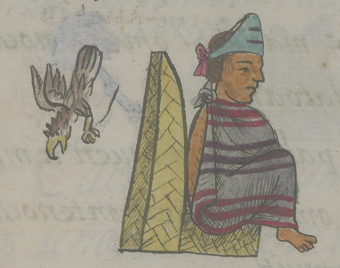 5-Cuahtemoc