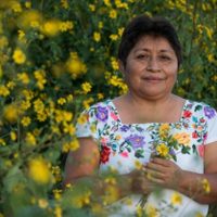 "Lo que estamos defendiendo es la vida": Leydy Pech, ganadora del premio Goldman