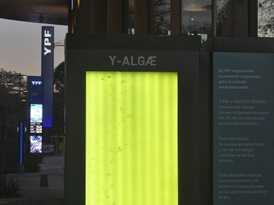 Argentinos desarrollan “árboles líquidos” para combatir el cambio climático