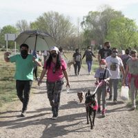 Realizarán actividades gratuitas para perros en Parque Norte