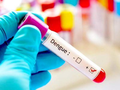 ¡Alerta dengue! Advierten sobre la existencia de casos autóctonos en la provincia de Buenos Aires