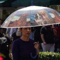 Chubascos, lluvias aisladas y fuertes continuarán este martes en 24 estados del país (Video)