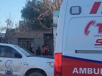 Un dogo argentino cruzó un alambrado, se metió en otra casa y mordió a un adulto mayor