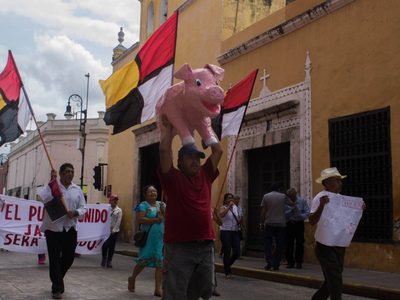SCJN confirma suspensión definitiva de las operaciones de granja porcina en Yucatán