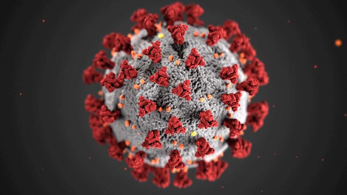El coronavirus, cuya nueva mutación fue detectada en Francia. Fuente: (Twitter)