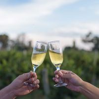 Continúa la crisis en el mercado de los espumantes y el champagne