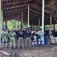 Desmantelan narcolaboratorio en Palenque, Chiapas; incautaron 900 kilogramos de metanfetaminas