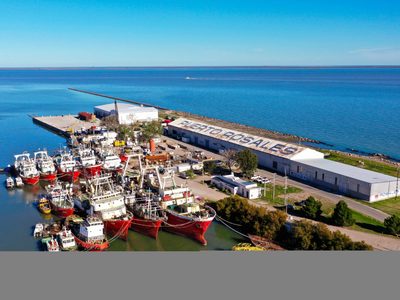 Puerto Coronel Rosales: obras e inversiones refuerzan su papel central en el crecimiento de Vaca Muerta