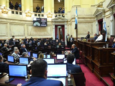 La dieta de los senadores llegará a $10,2 millones