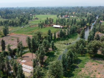 El futbol llanero devora las chinampas de Xochimilco (Video)