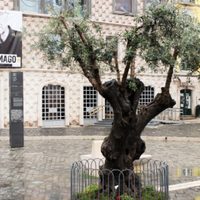 La Fundación Saramago fomenta ruta turística dedicada a un libro del escritor