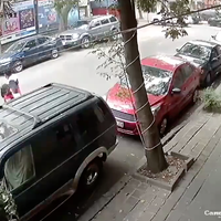 Una pareja se salva de ser aplastada por la caída de un árbol en la CDMX (Video)
