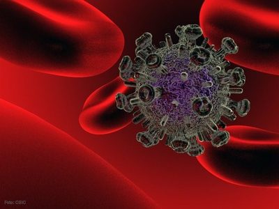 Los cánceres no vinculados al sida representan 20% de muertes de las personas que viven con el virus