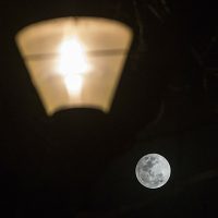Eclipse total de Luna de este viernes no se verá en México, aclara la UNAM