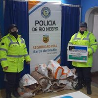 Incautaron 240 kilos de carne en Barda del Medio
