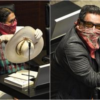 Morena y aliados avalan Ley de Amnistía en comisiones