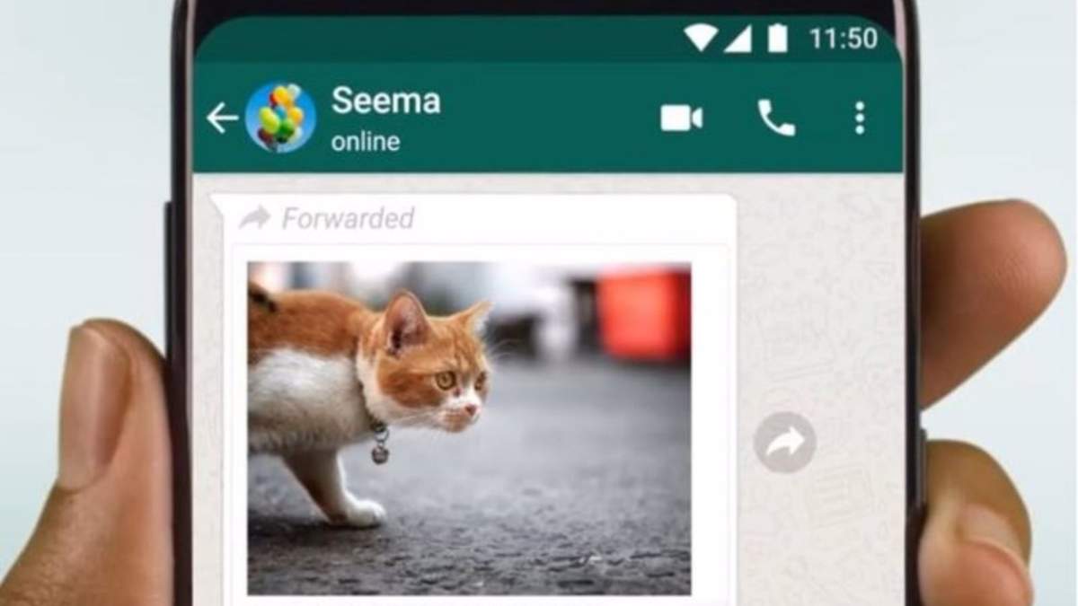 WhatsApp facilitará el reenvío directo de fotos y videos a otras plataformas
