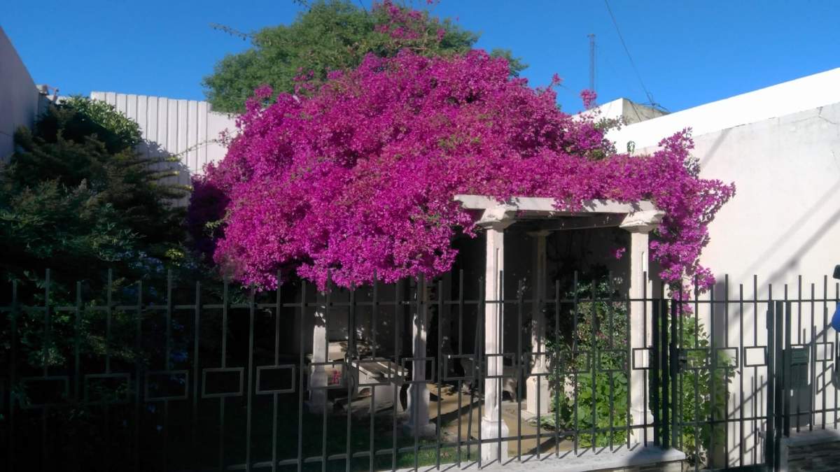 Santa Rita. Fuente: (Instagram)