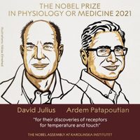 Para David Julius y Ardem Patapoutian el Nobel de Medicina