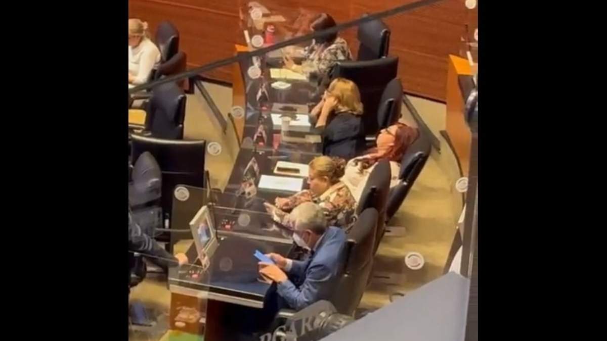 La senadora por Zacatecas, Soledad Luévano, descansando en su curul