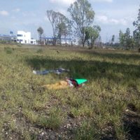 Localizan tres cadáveres maniatados en San Juan del Río, Querétaro