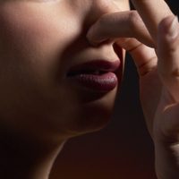 Un grupo de científicos quiere traer al presente los olores del pasado: los agradables y los no tanto