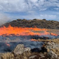 Avanza el incendio en las sierras de Córdoba y ya se han consumido 3500 hectáreas