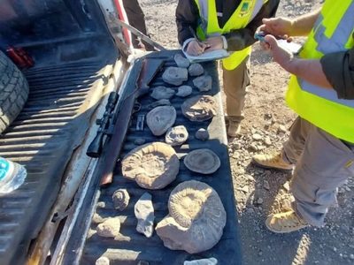 Encontraron, en una camioneta, una gran cantidad de fósiles de animales marinos que vivieron hace más de 400 millones de años