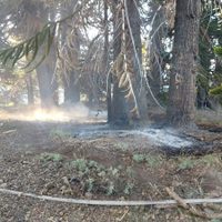 Investigan si un fogón mal apagado es la causa de un gran incendio forestal en Rucachoroi
