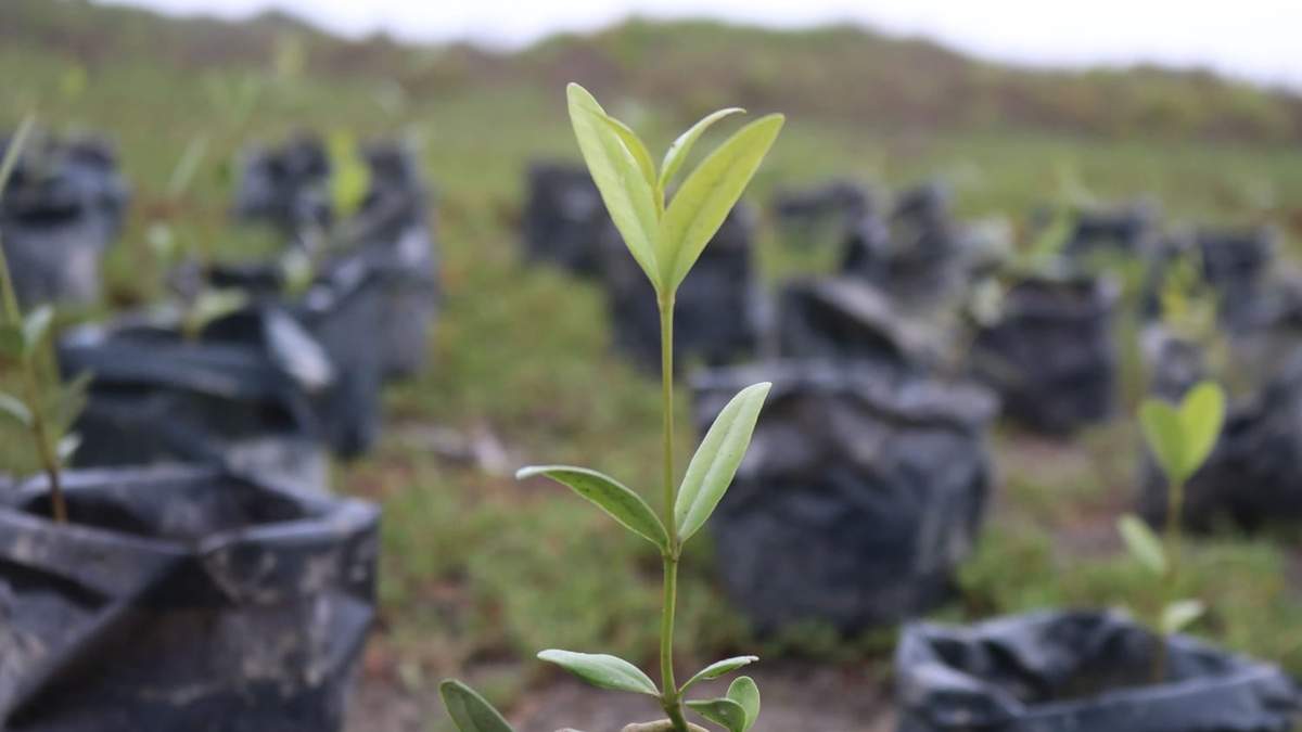 En 365 días, Tamaulipas avanza en salvaguardar recursos naturales y proteger a la flora y fauna