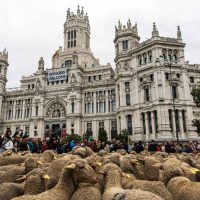 #Procesofoto, las imágenes del día
