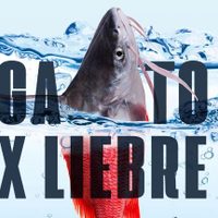 Restaurantes y pescaderías dan atún en lugar de marlín; estudio revela fraude en comida del mar