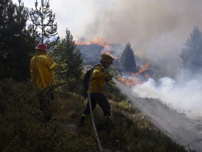 Incendios en Neuquén: Gutiérrez anunciará la prórroga de la emergencia hídrica