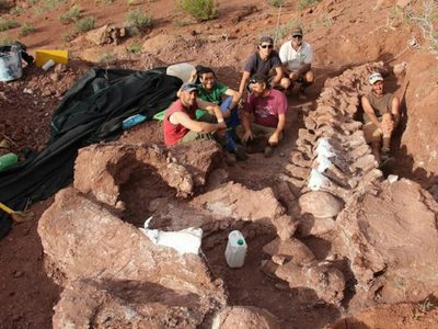 El Museo Olsacher de Zapala en la consideración mundial ante un hallazgo histórico