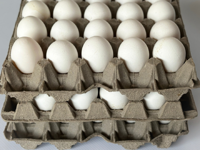 Huevos blancos o colorados: terminá de descubrir la diferencia entre ambos y qué tanto aportan a tu salud