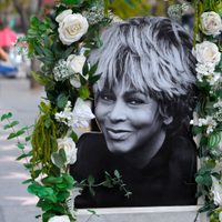 La reina Tina Turner, un ave fénix en llamas
